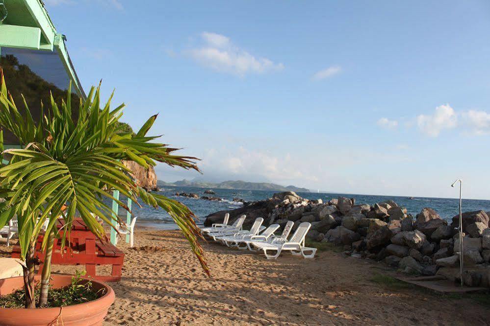 Bird Rock Beach Hotel Бастер Екстериор снимка
